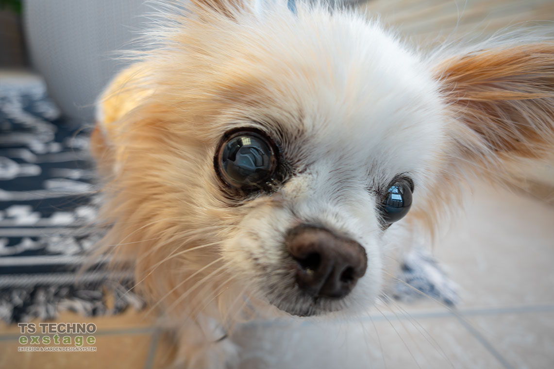 TSテクノ施工事例 No137